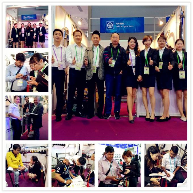 China Guangzhou Dongsui Auto Accessories & Spare Parts Co., Ltd. company profile 0